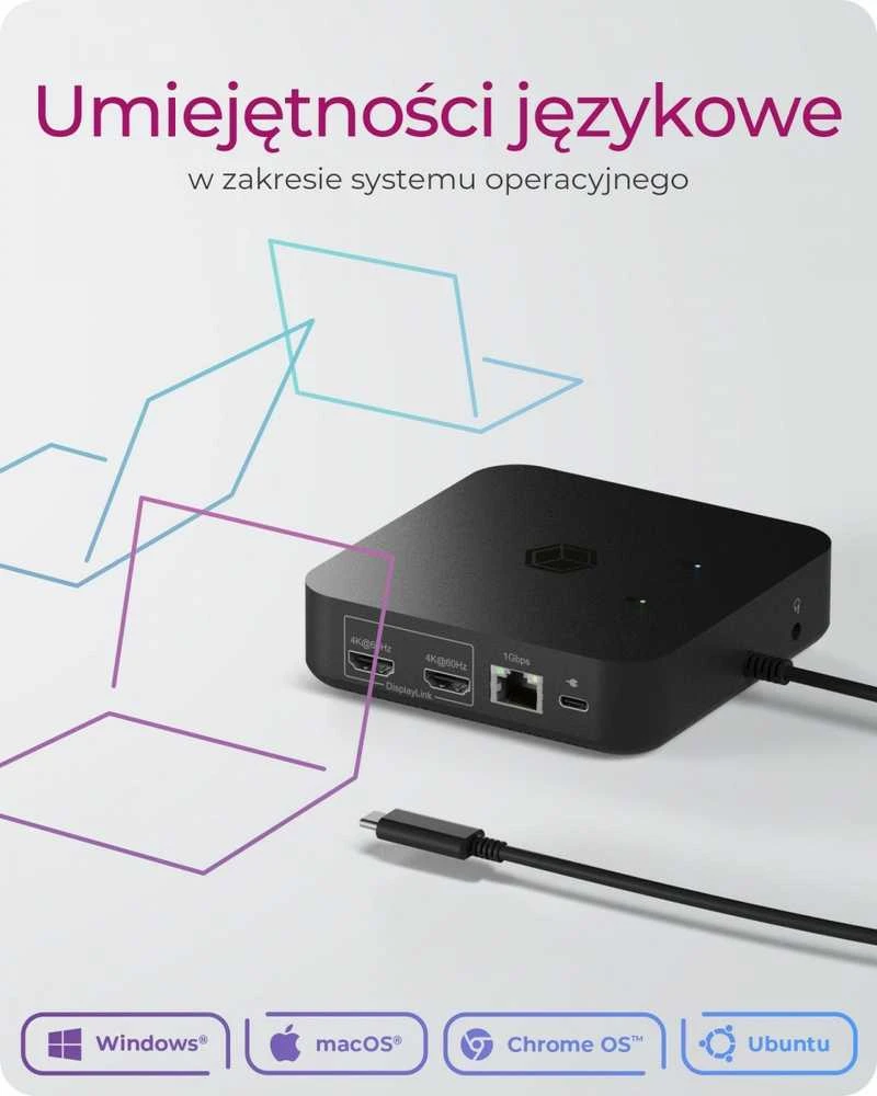 RAD „RaidSonic ICY BOX IB-DK4090-C“ 12 viename USB C tipo dokas su PD iki 100W