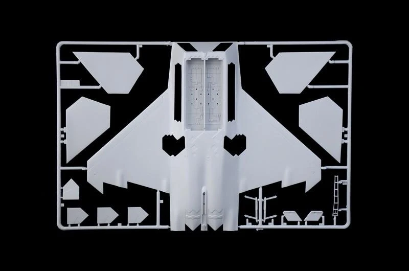 Italeri - F-22 Raptor, 1/48, 2822