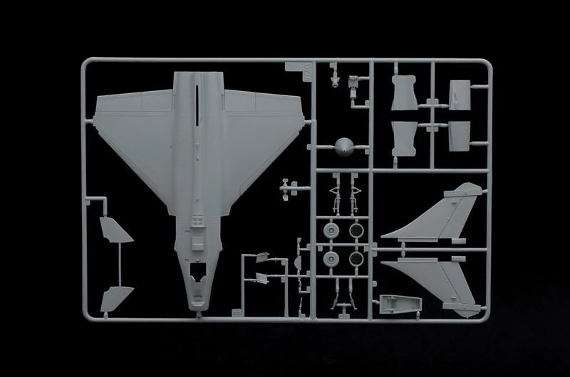 Surenkamas modelis Rafale M Operations Exterieures 2011 Italeri, 1319, 1:72