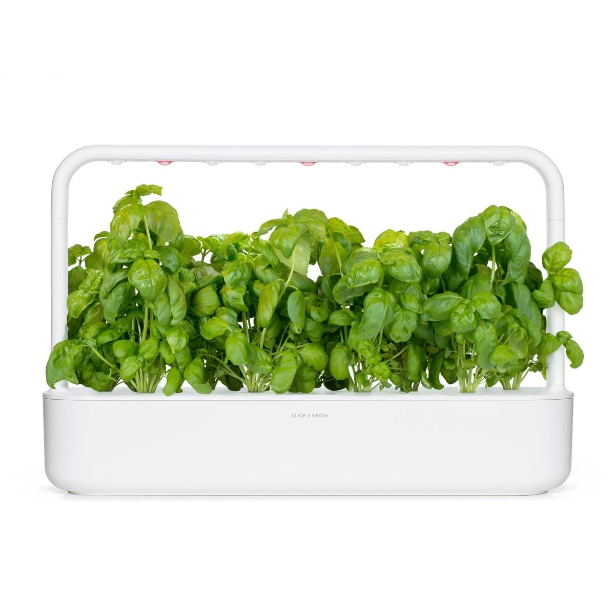 Click and Grow Smart Home 3 vnt. papildymas - bazilikų sėklos