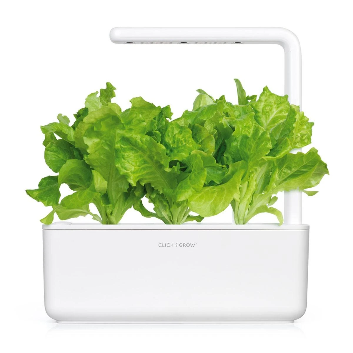 Click And Grow Click & Grow Click & Grow Smart Garden pildomas salotos 3vnt