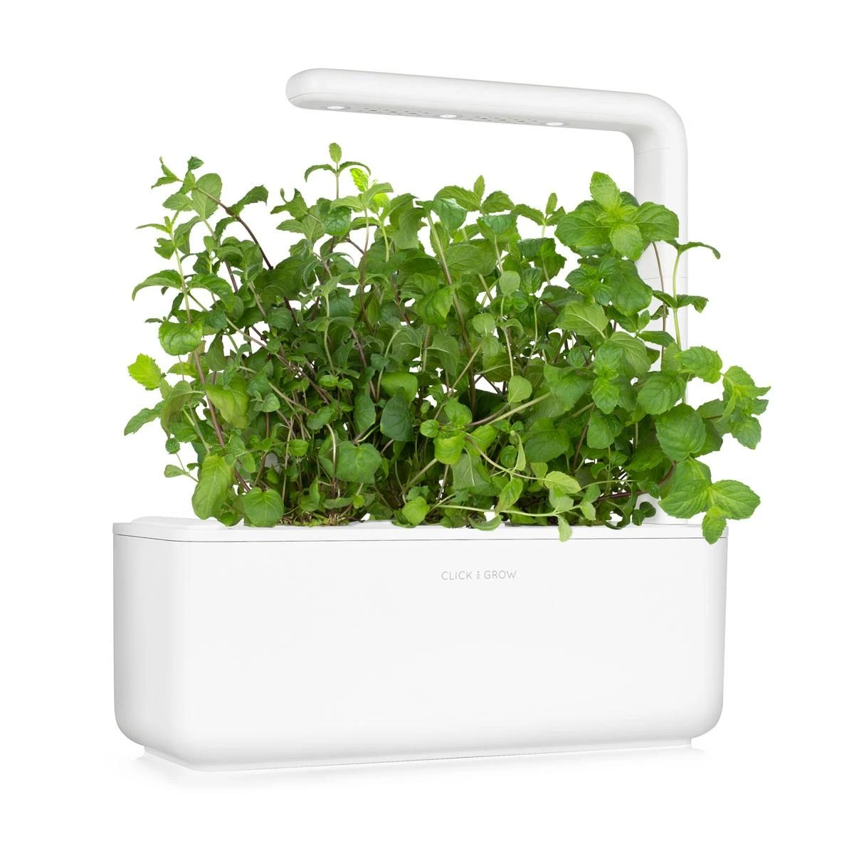 Click Grow „Click and Grow“ – išmaniojo sodo papildymo pakuotė, 3 vnt. – pipirmėčių (SGR22X3)