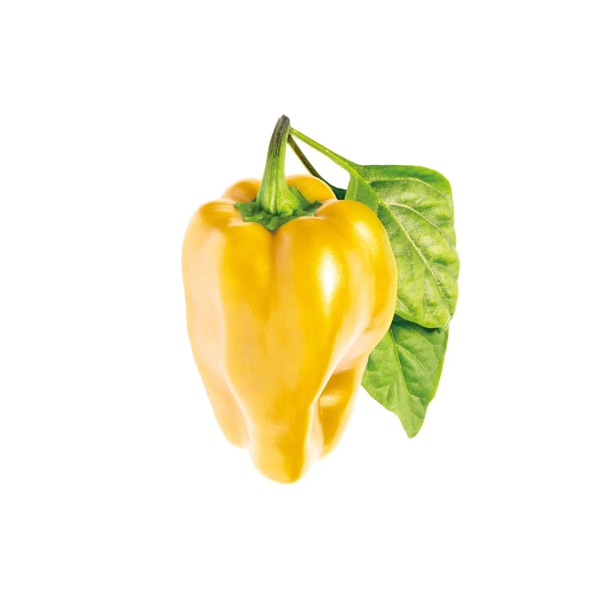 Click and Grow SMART HOME 3 vnt. papildymas - paprikos sėklos, geltonos