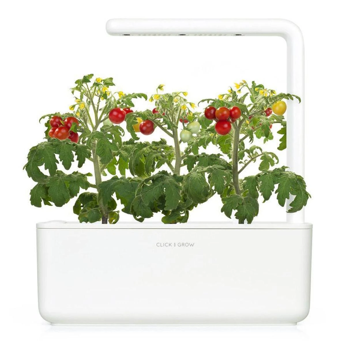 Click Grow „Click and Grow“ – išmaniojo sodo papildymo pakuotė, 3 vnt. – mini pomidorai (SGR5X3)