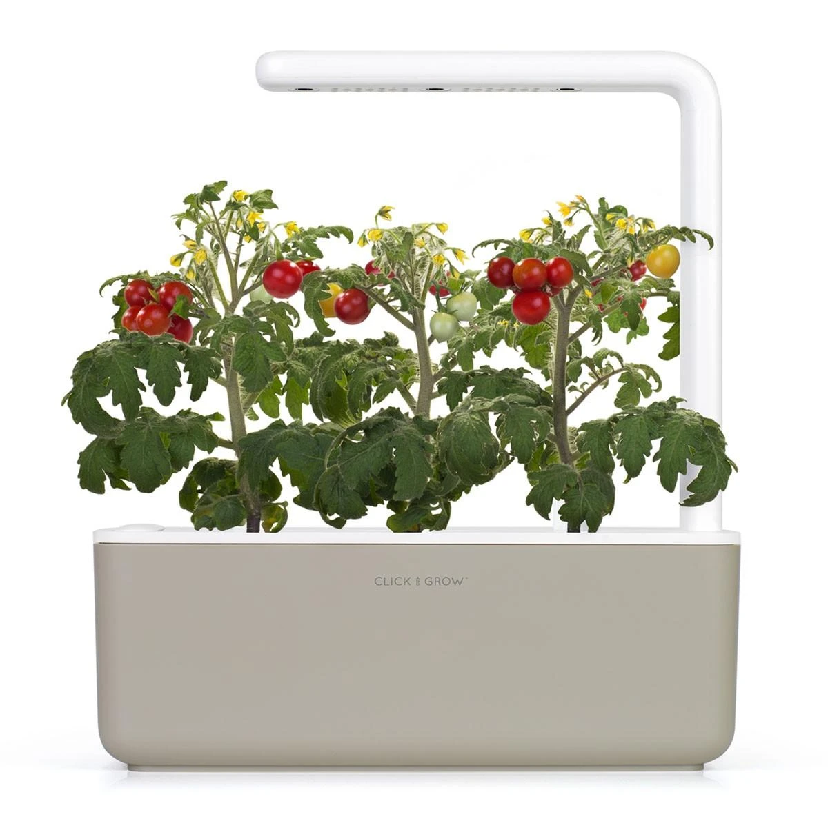 Click Grow „Click and Grow“ – išmaniojo sodo papildymo pakuotė, 3 vnt. – mini pomidorai (SGR5X3)