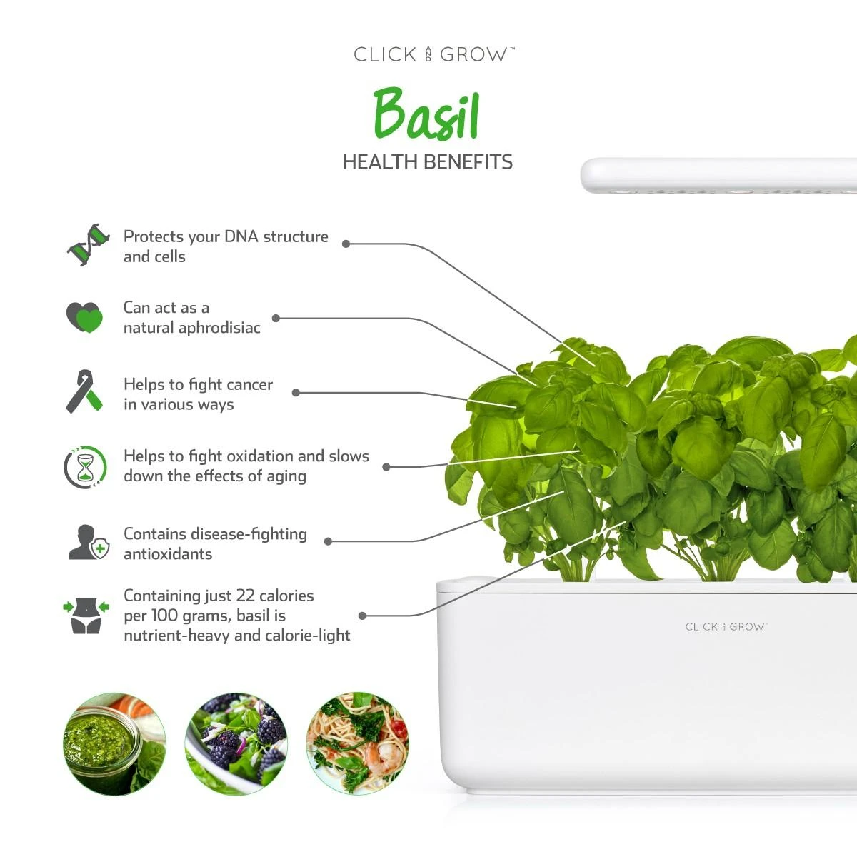 Click and Grow Smart Home 3 vnt. papildymas - bazilikų sėklos