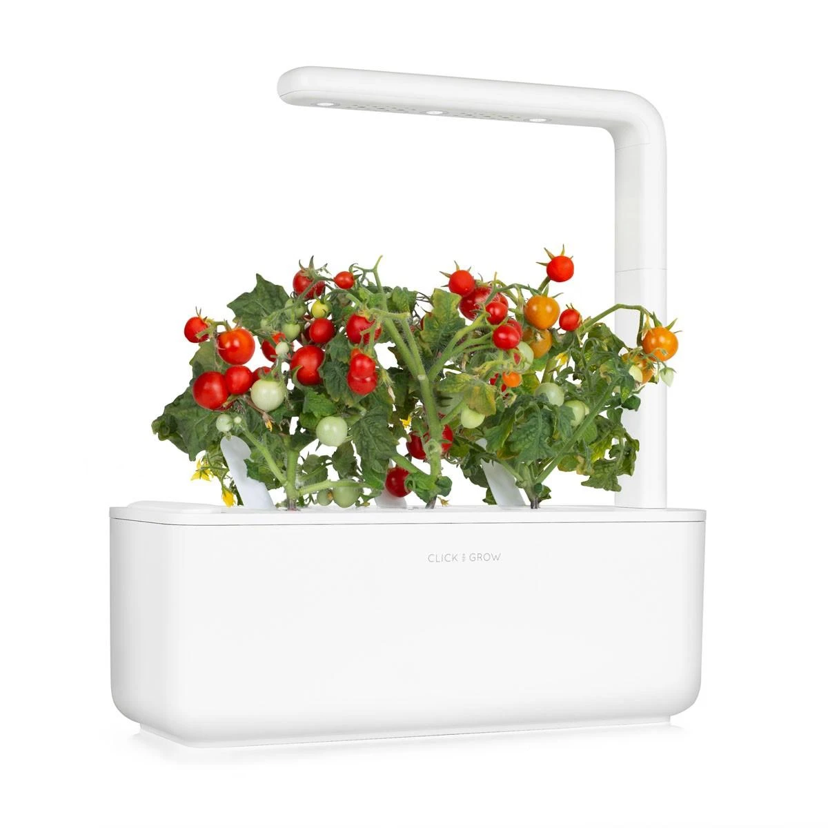Click Grow „Click and Grow“ – išmaniojo sodo papildymo pakuotė, 3 vnt. – mini pomidorai (SGR5X3)