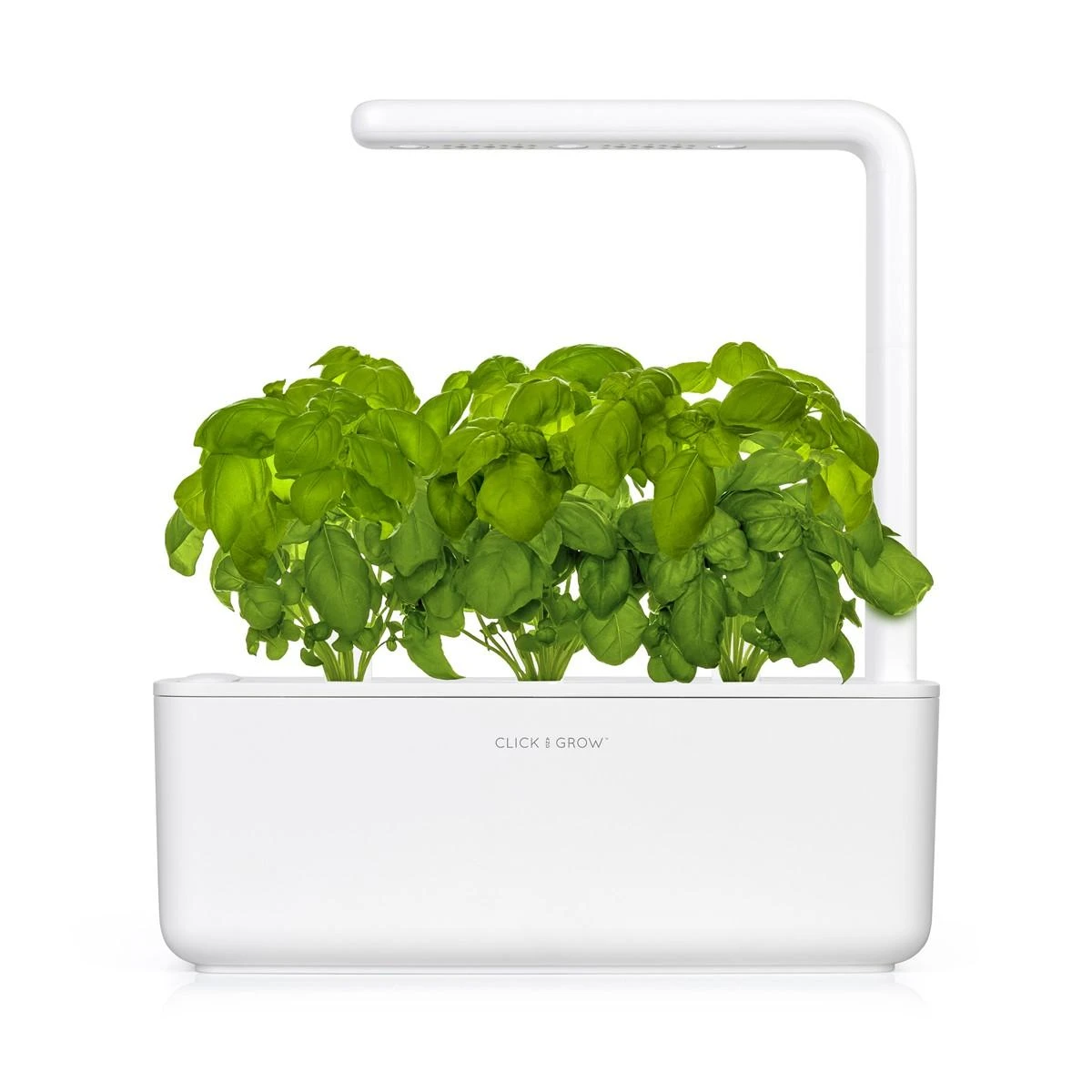 Click and Grow Smart Home 3 vnt. papildymas - bazilikų sėklos