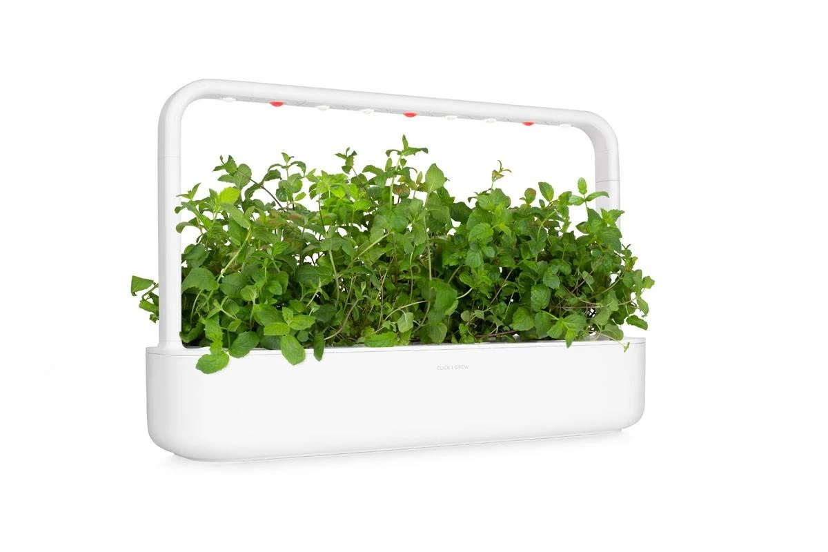 Click Grow „Click and Grow“ – išmaniojo sodo papildymo pakuotė, 3 vnt. – pipirmėčių (SGR22X3)