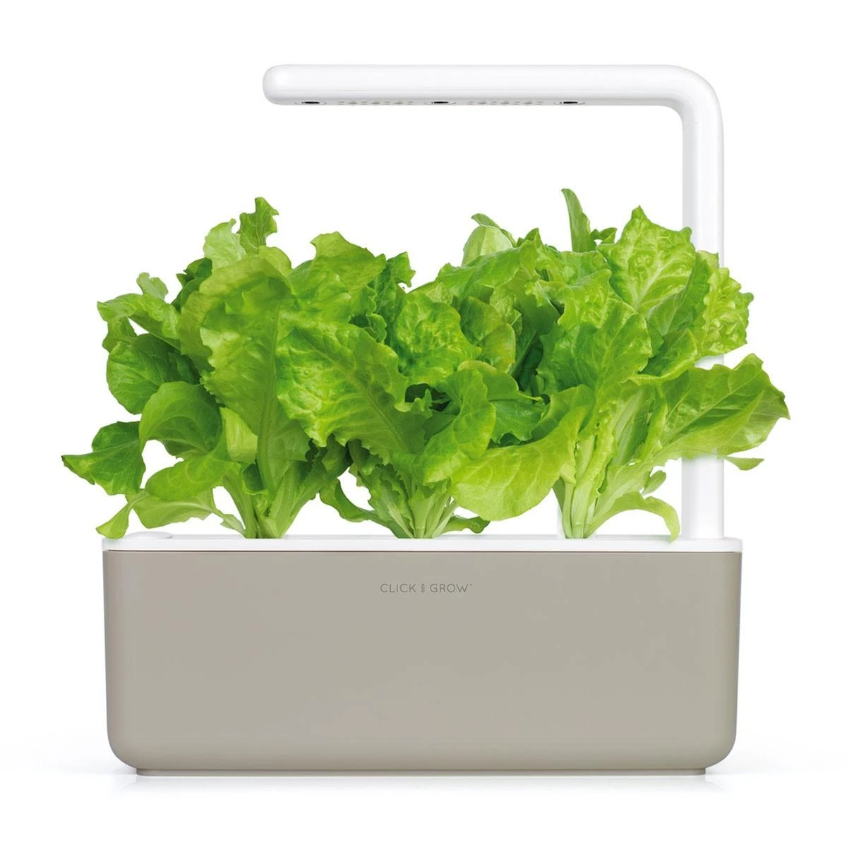 Click And Grow Click & Grow Click & Grow Smart Garden pildomas salotos 3vnt