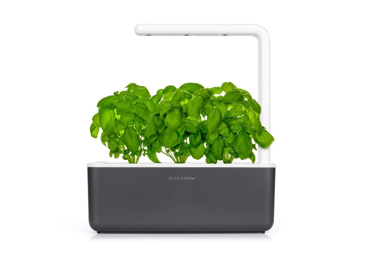Click and Grow Smart Home 3 vnt. papildymas - bazilikų sėklos