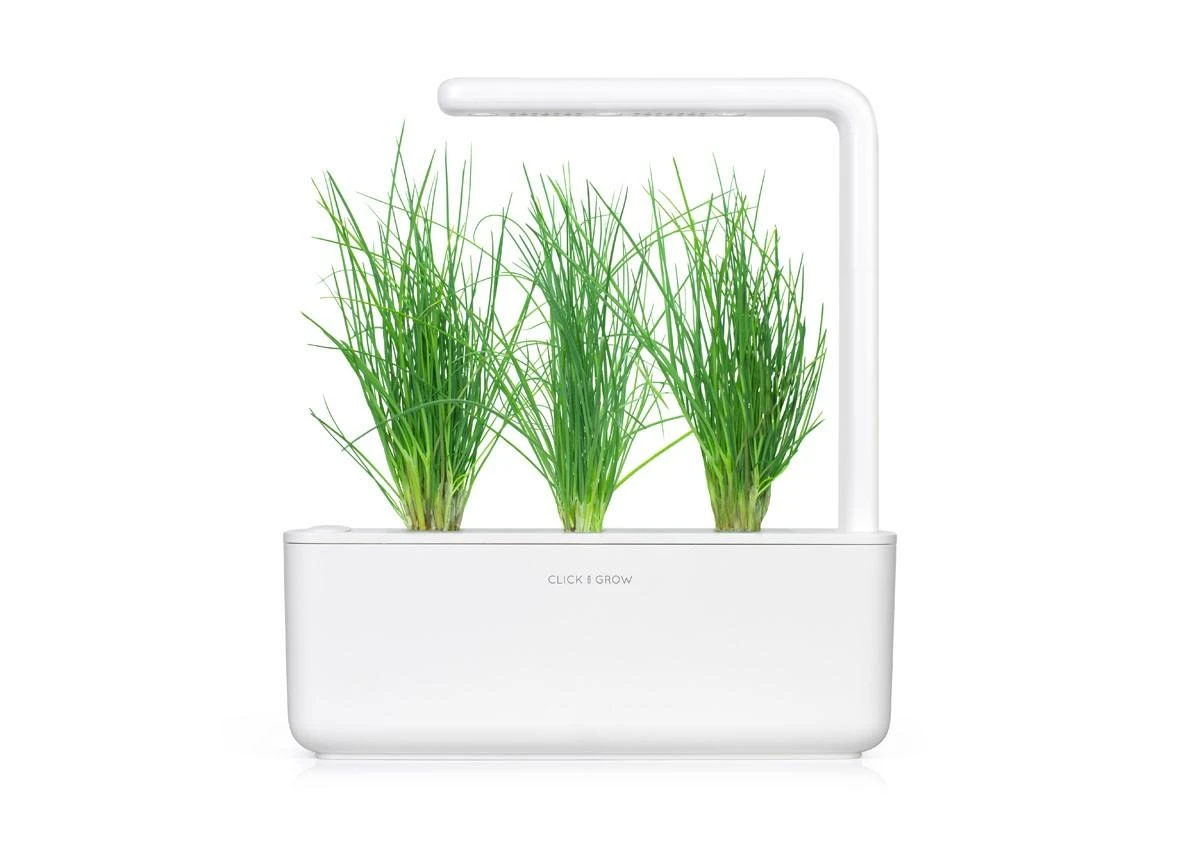 Click Grow „Click and Grow“ – išmaniojo sodo papildymo pakuotė, 3 vnt. – laiškiniai česnakai (SGR38X3)