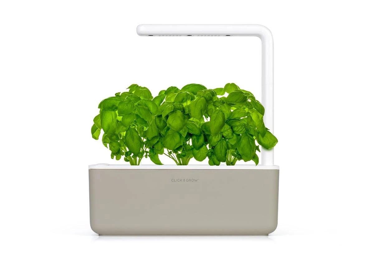 Click and Grow Smart Home 3 vnt. papildymas - bazilikų sėklos