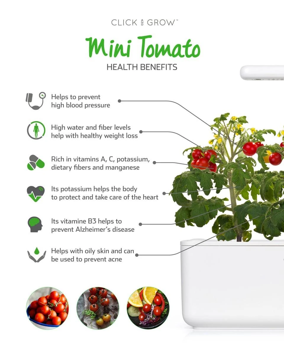 Click Grow „Click and Grow“ – išmaniojo sodo papildymo pakuotė, 3 vnt. – mini pomidorai (SGR5X3)