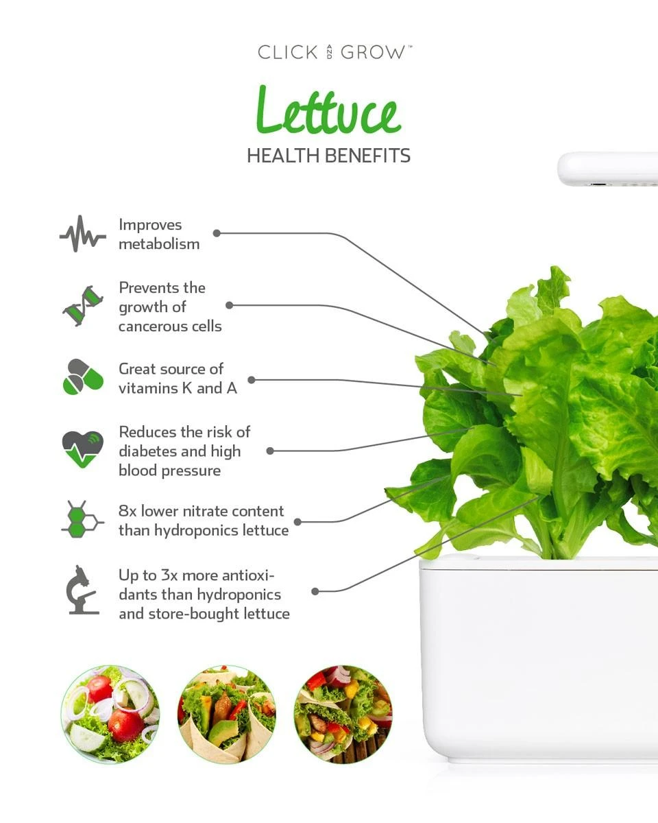 Click And Grow Click & Grow Click & Grow Smart Garden pildomas salotos 3vnt