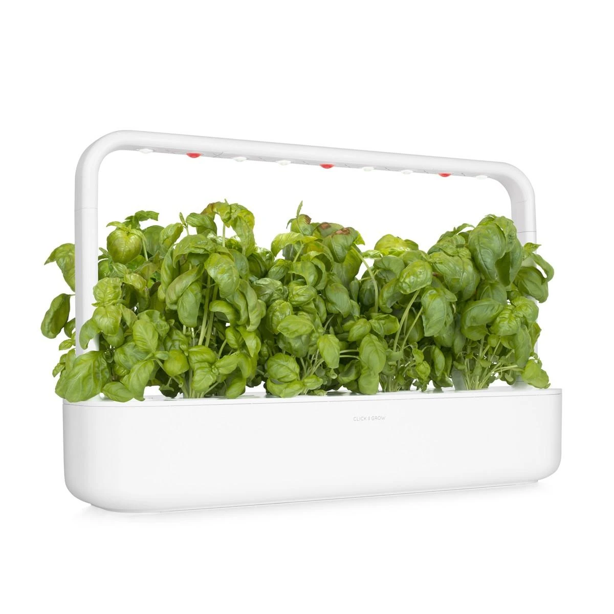 Click and Grow Smart Home 3 vnt. papildymas - bazilikų sėklos