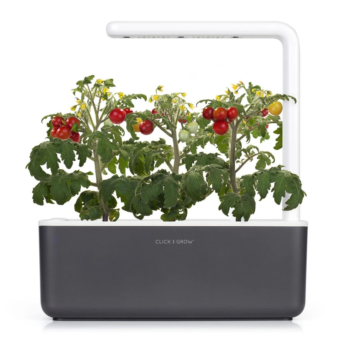 Click Grow „Click and Grow“ – išmaniojo sodo papildymo pakuotė, 3 vnt. – mini pomidorai (SGR5X3)