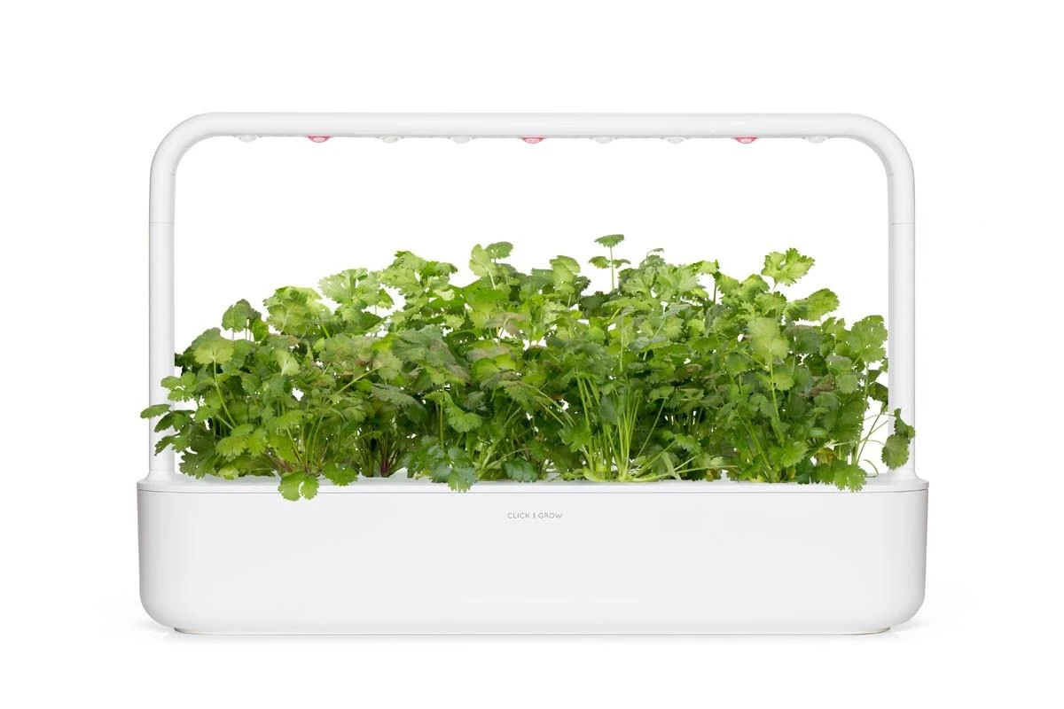 Click and Grow Smart Home 3 vnt. papildymas - kalendros sėklos