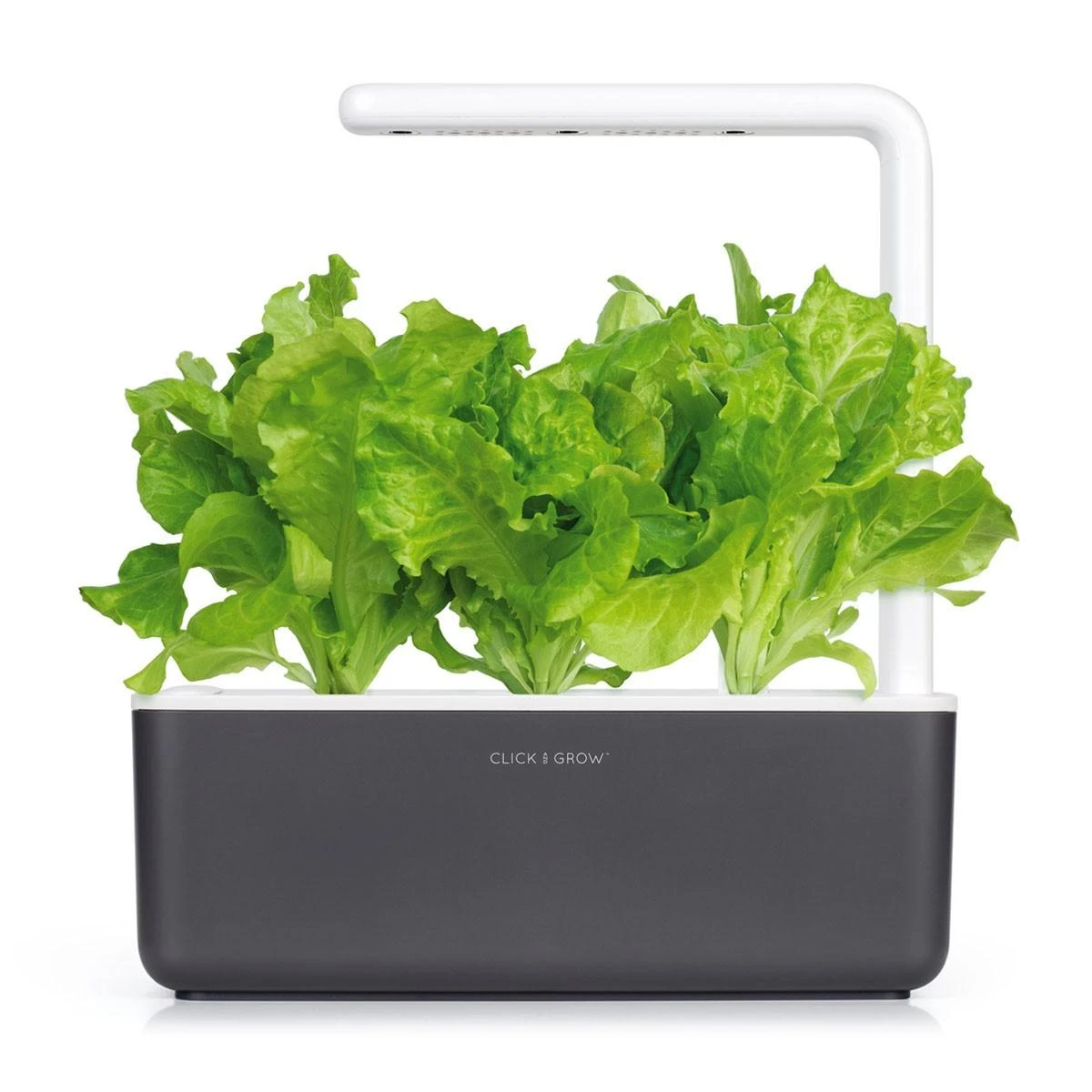 Click And Grow Click & Grow Click & Grow Smart Garden pildomas salotos 3vnt
