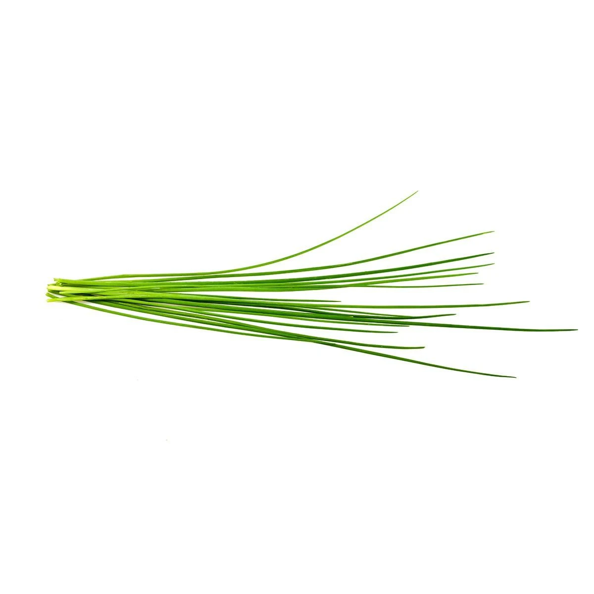 Click Grow „Click and Grow“ – išmaniojo sodo papildymo pakuotė, 3 vnt. – laiškiniai česnakai (SGR38X3)
