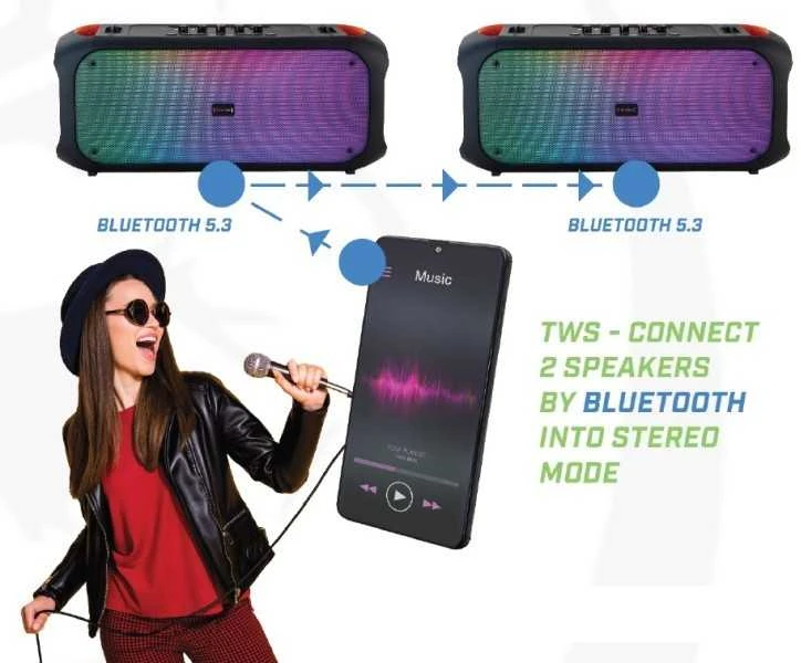 „Rebeltec“ garso kolonėlė „Bluetooth FM/USB SoundBox 650“