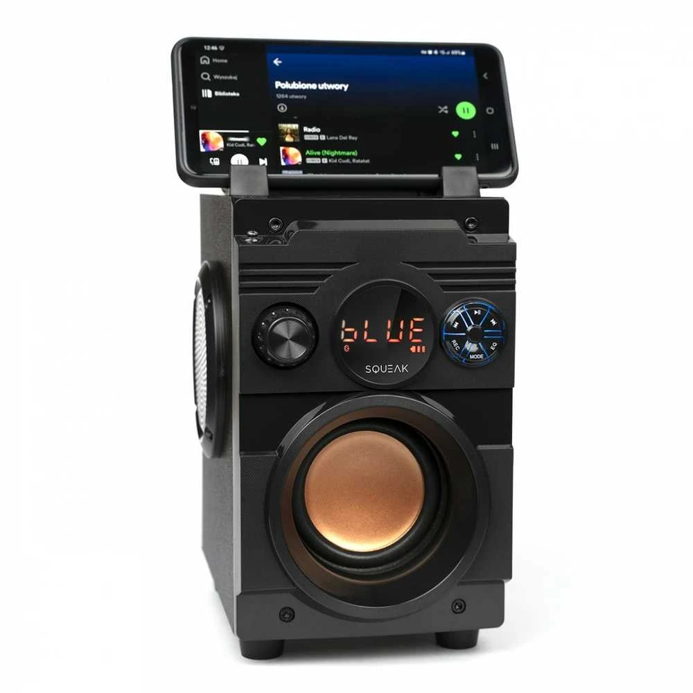 Nešiojama kolonėlė  Squeak  5.1 BassBlaster