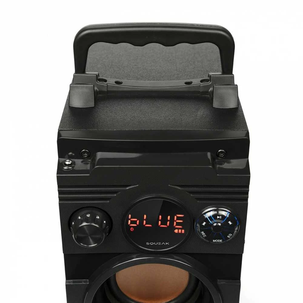 Nešiojama kolonėlė  Squeak  5.1 BassBlaster