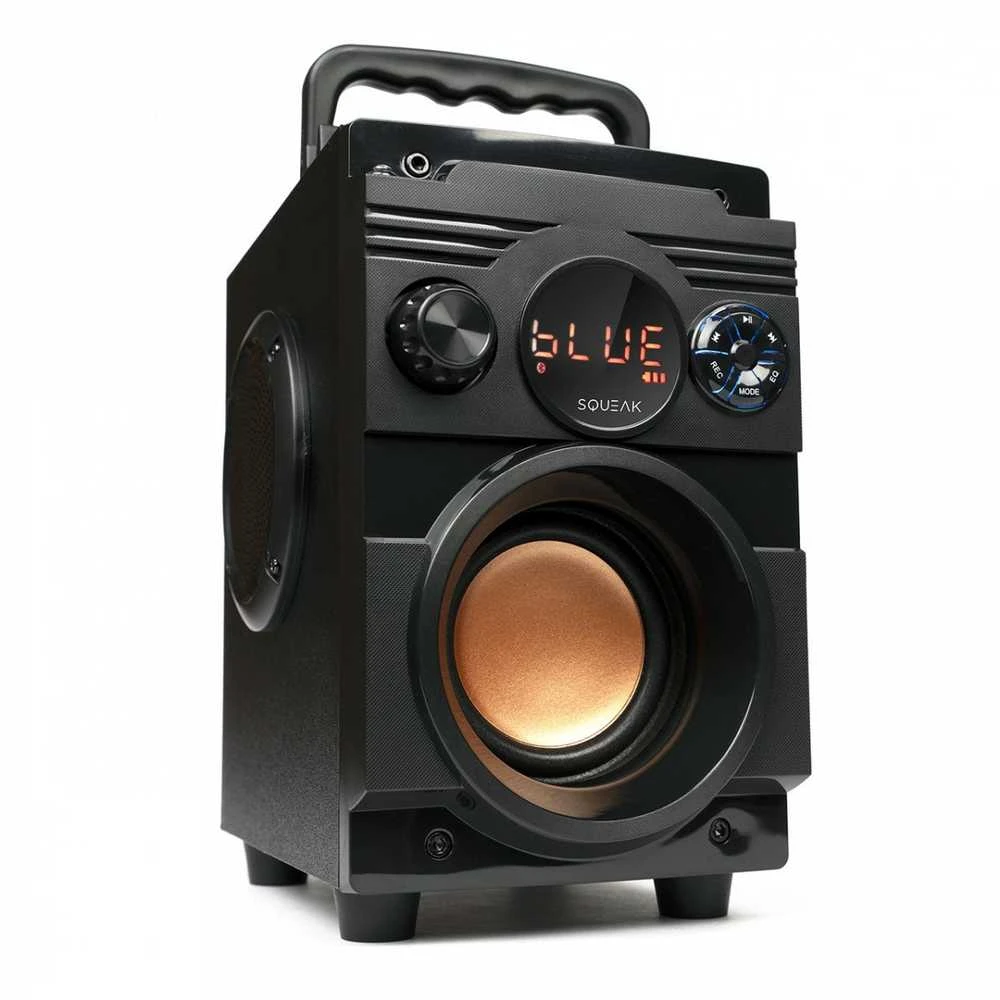 Nešiojama kolonėlė  Squeak  5.1 BassBlaster