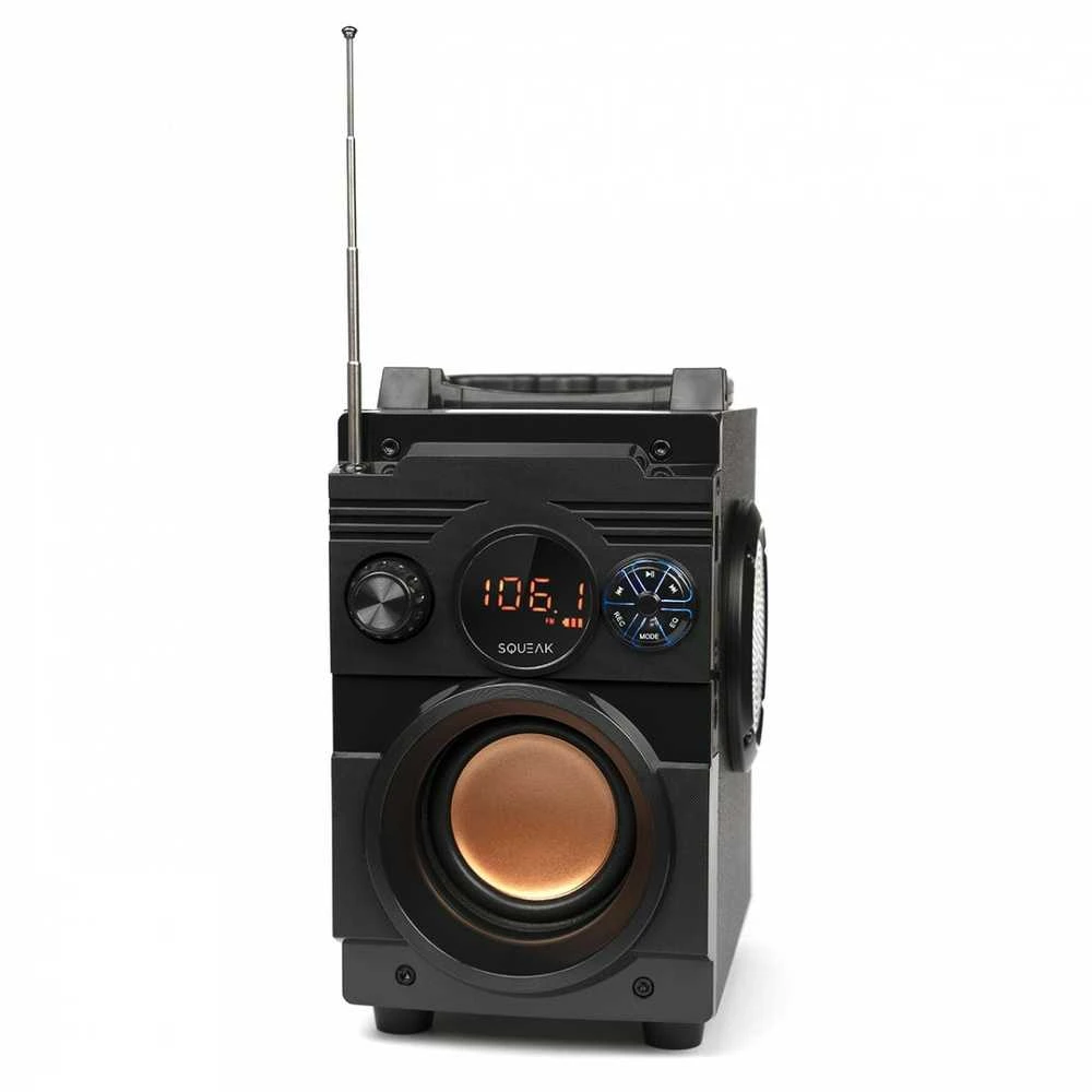 Nešiojama kolonėlė  Squeak  5.1 BassBlaster