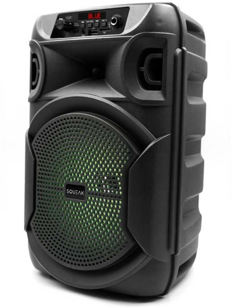 SQUEAK KARAOKE SPEAKER PULSETOWER BT 5.3 + EDR SQ1006