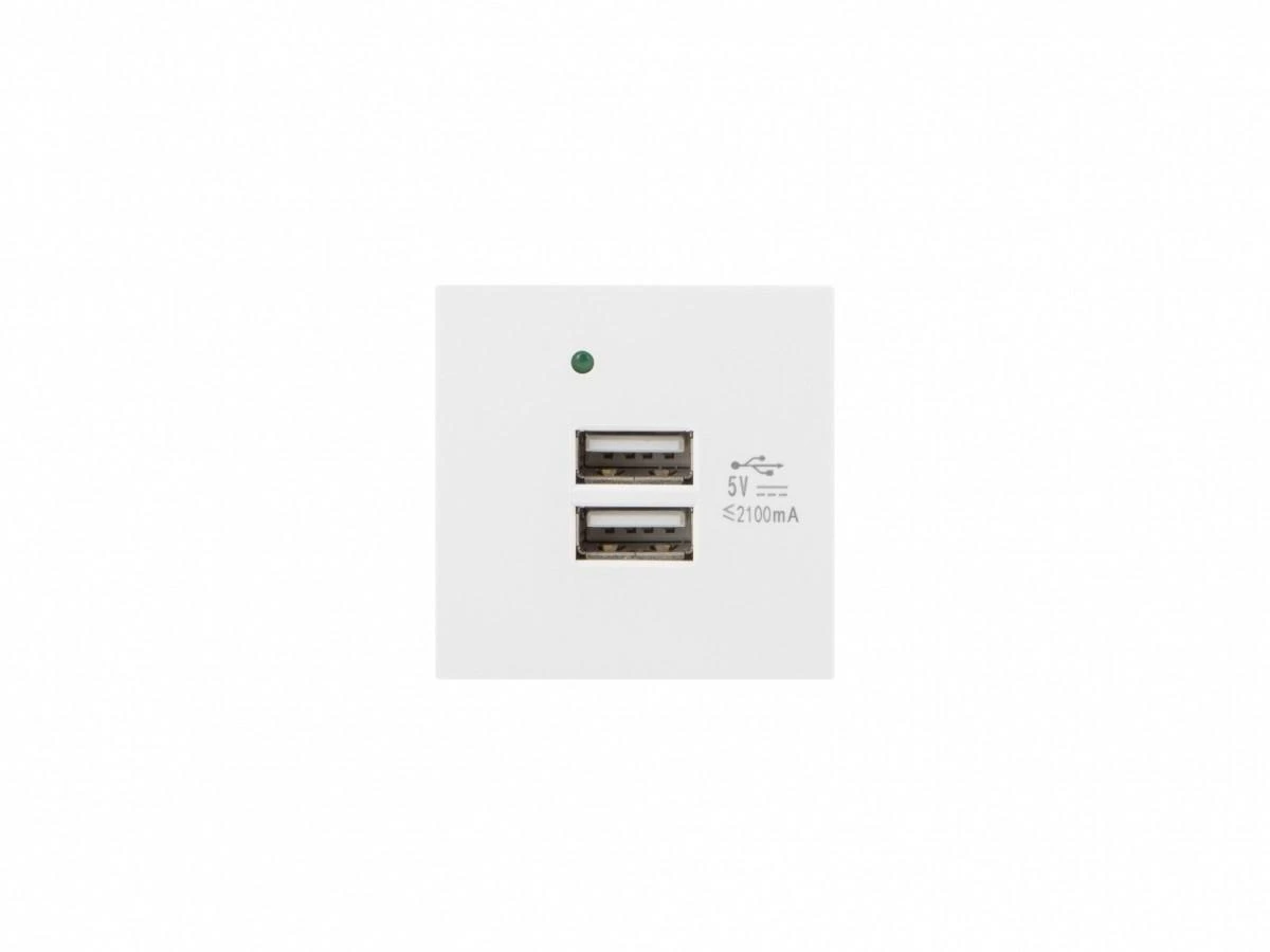 LANBERG AC 45x45 lizdas 230V 5V 2xUSB 2.1A baltas