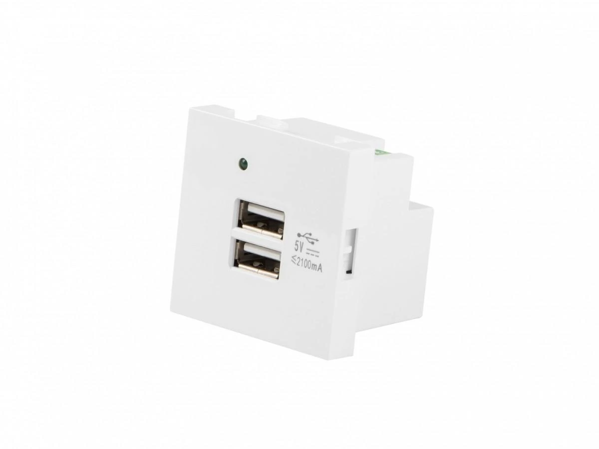 Lanberg 45x45 mm modulis su dviguba USB jungtimi