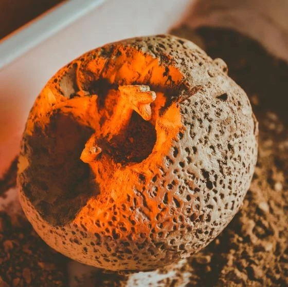 Kūrybinis mokslų rinkiys Lisciani Drakonai ir dinozaurai