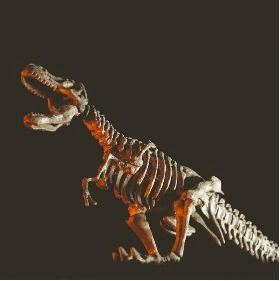 Kūrybinis mokslų rinkiys Lisciani Drakonai ir dinozaurai