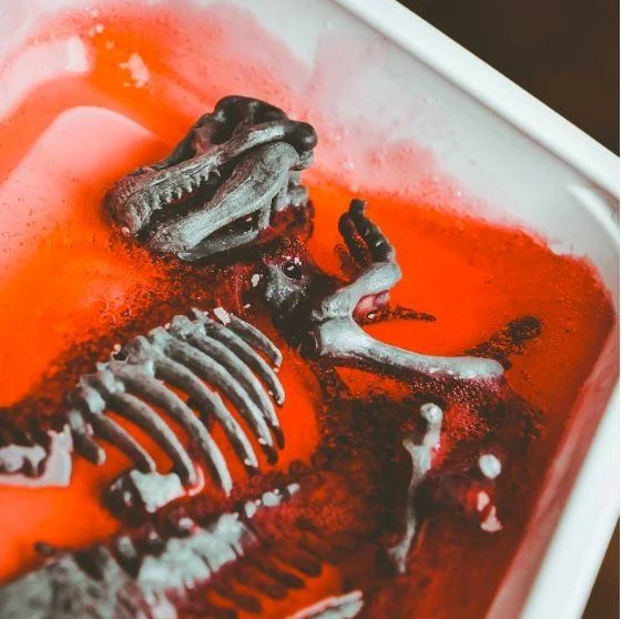 Kūrybinis mokslų rinkiys Lisciani Drakonai ir dinozaurai