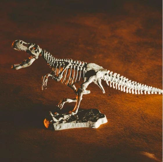 Kūrybinis mokslų rinkiys Lisciani Drakonai ir dinozaurai