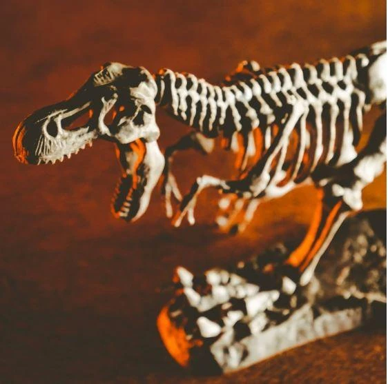 Kūrybinis mokslų rinkiys Lisciani Drakonai ir dinozaurai