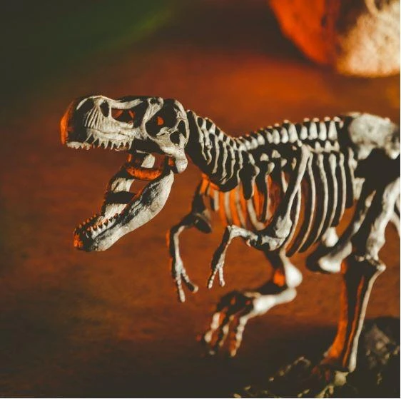 Kūrybinis mokslų rinkiys Lisciani Drakonai ir dinozaurai