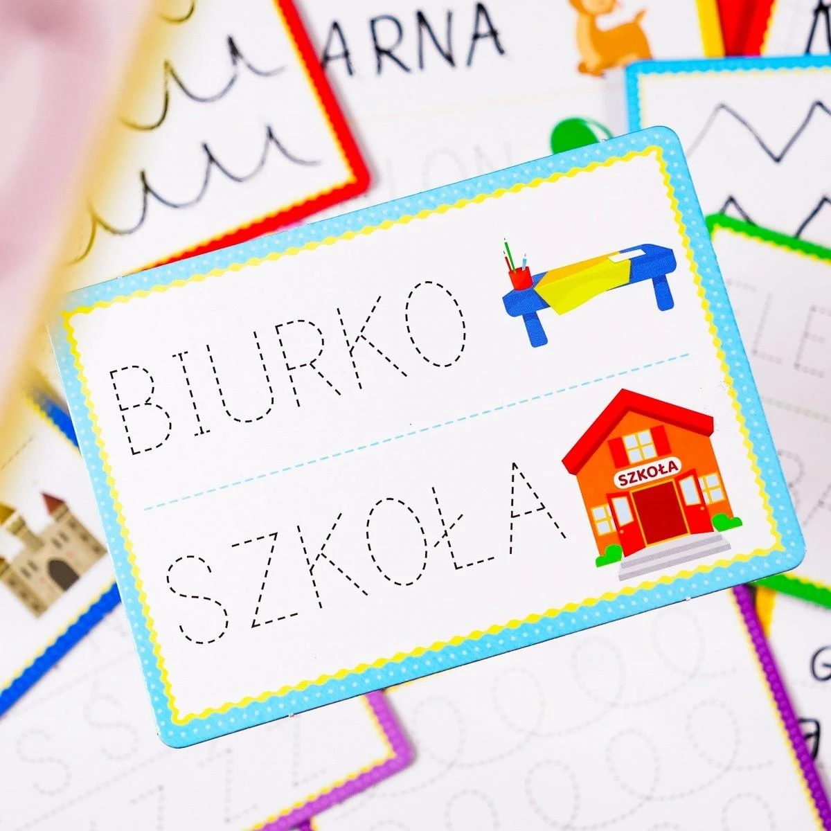 Dante *****Lisciani montessori długopis+32tabl.01313