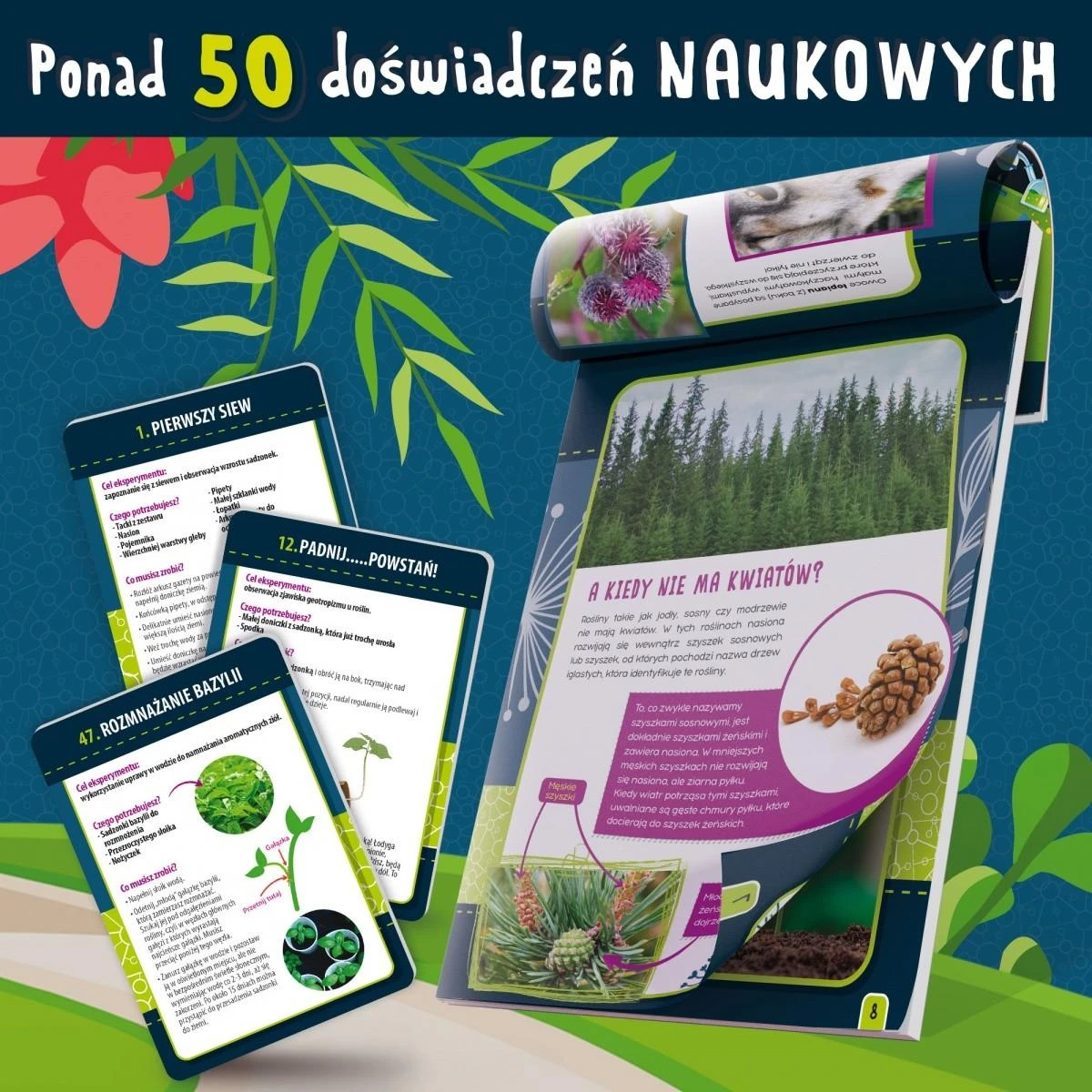 Lisciani Edukacinis žaidimas botanika namuose mažiesiems genijams