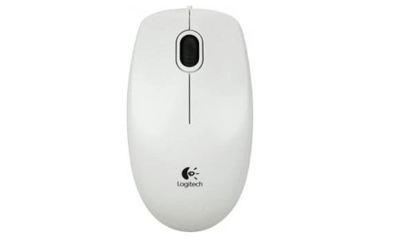 Pelė LOGITECH B100, USB, balta sp.