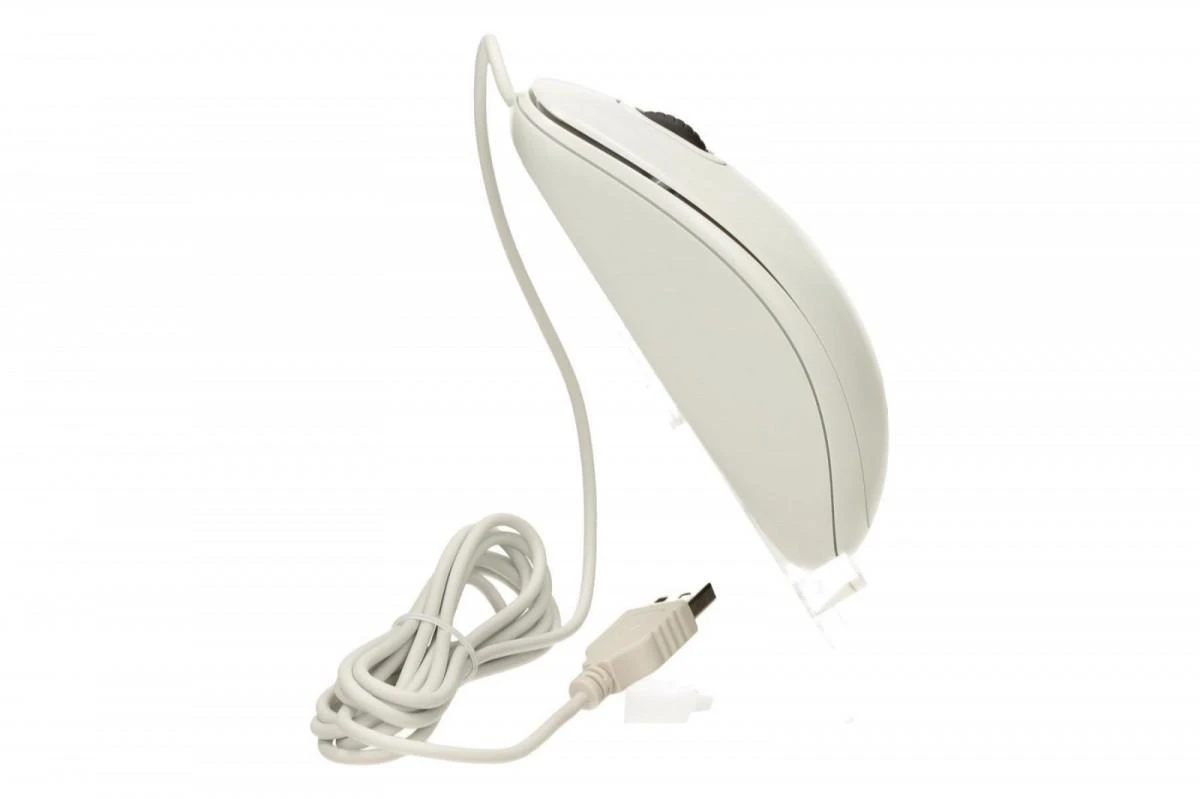 Pelė LOGITECH B100, USB, balta sp.