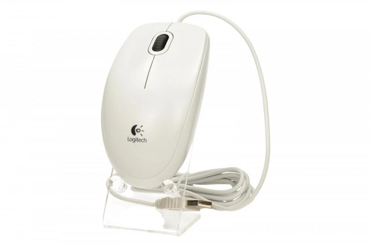 Pelė LOGITECH B100, USB, balta sp.
