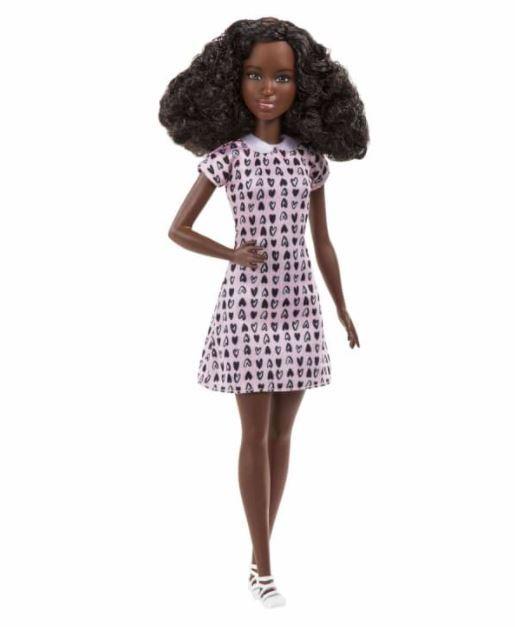 Barbie Mattel karjera – naminių gyvūnėlių fotografė (HCN10)
