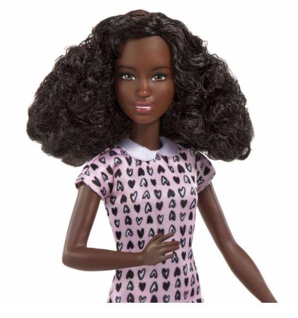 Barbie Mattel karjera – naminių gyvūnėlių fotografė (HCN10)