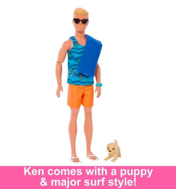 Mattel BARBIE KEN SURF DOLL lėlė (HPT50)