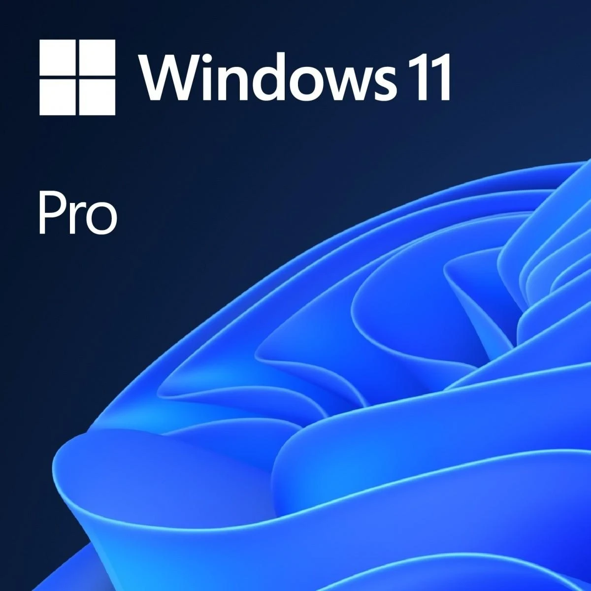 Operacinė sistema Microsoft Windows 11 Pro, 64 bitų, Angliška versija, OEI, DVD