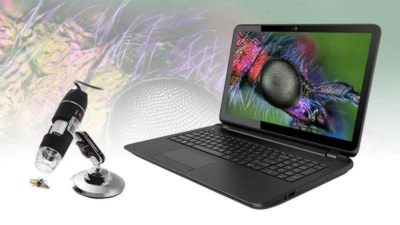 Universalus skaitmeninis Mikroskopas jungiamas prie kompiuterio Media-Tech MICROSCOPE USB 500X MT4096