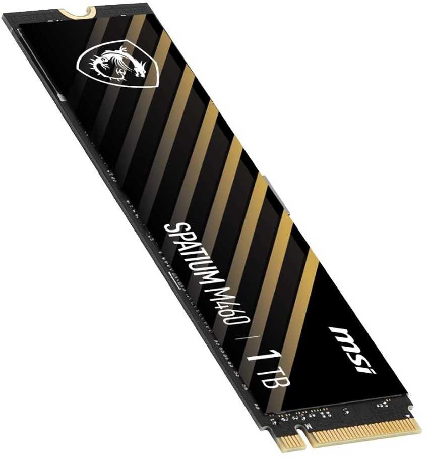 Kietasis diskas SPATIUM M460 PCIe 4.0 NVMe M.2 (1TB)