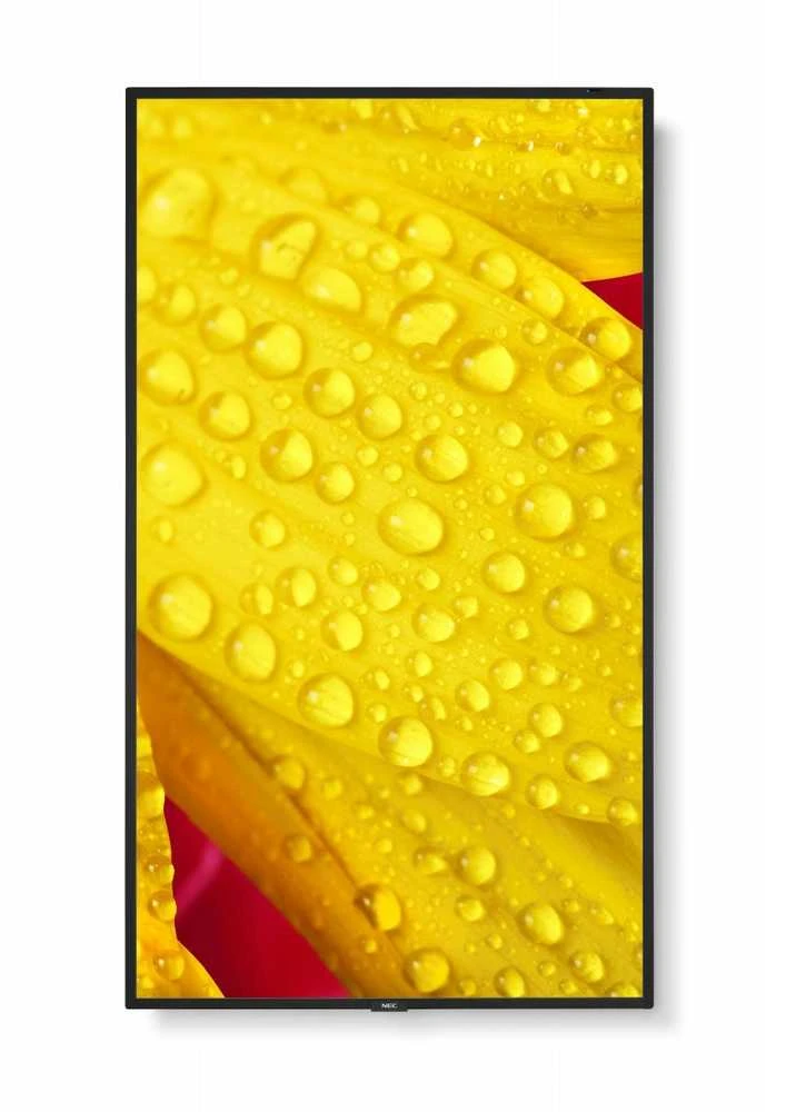Monitorius NEC M651-2 65 colių UHD 500CD/QM - LED 24/7 SDM CM